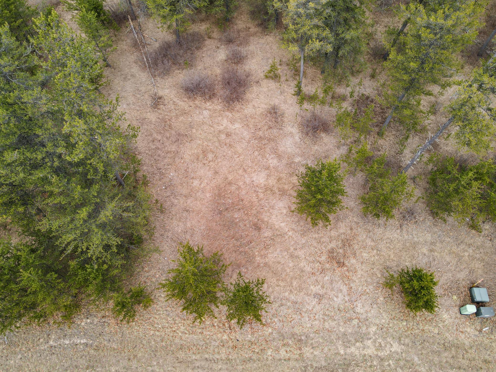 dji_fly_20260401_132624_454_1775067996545_photo.jpg