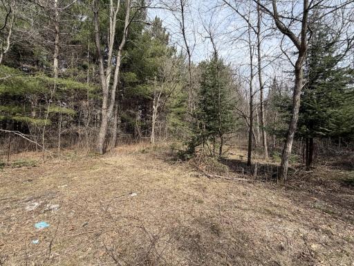 1967 80th Avenue, Dresser, WI 54009