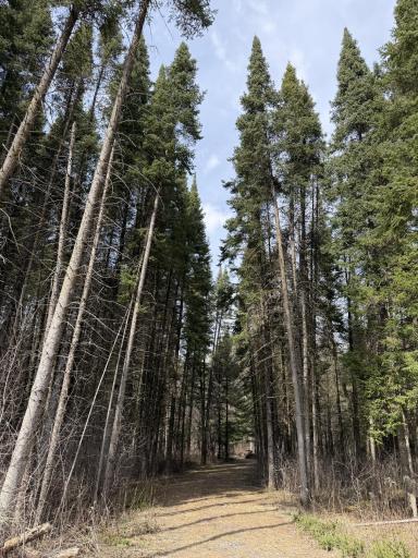 1967 80th Avenue, Dresser, WI 54009