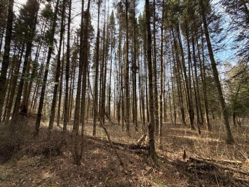 1967 80th Avenue, Dresser, WI 54009