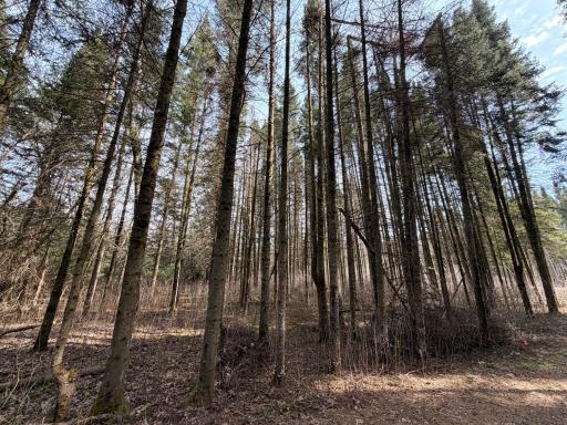 1967 80th Avenue, Dresser, WI 54009