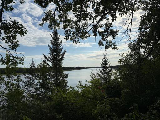 River view from deck.jpg