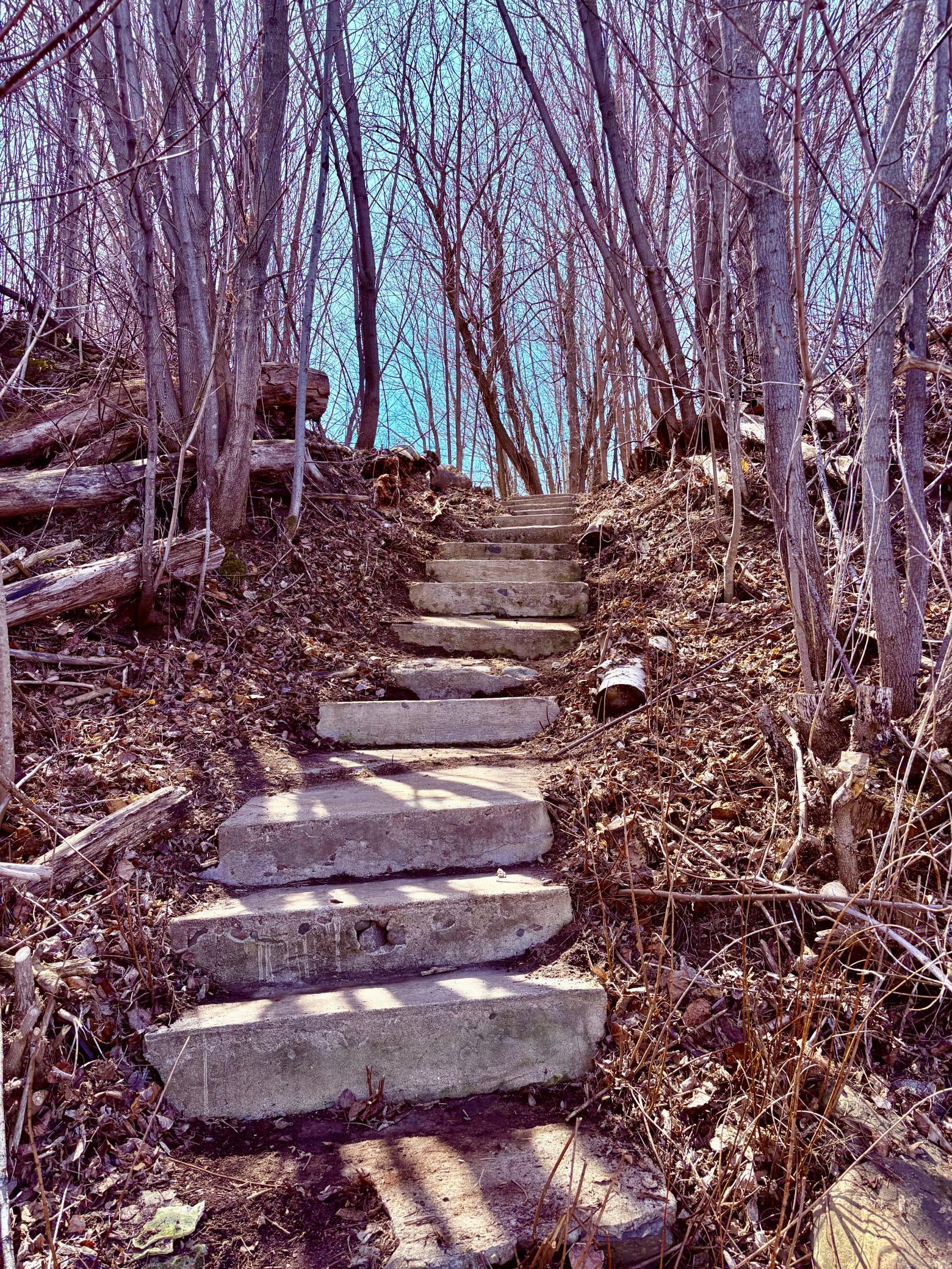 Stairway to walleye