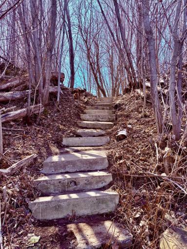 Stairway to walleye