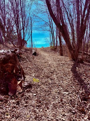 Spring pathway to the River