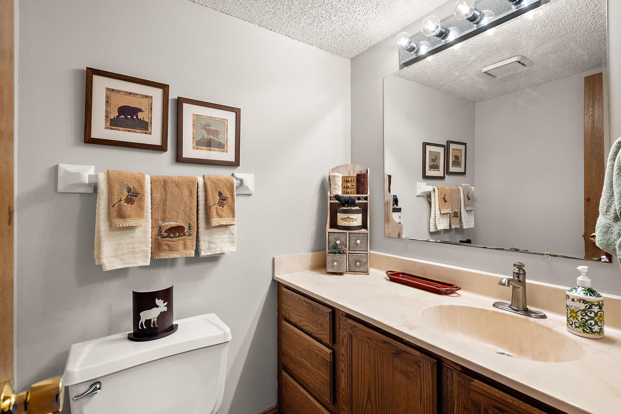 The lower level 1/2 bathroom.