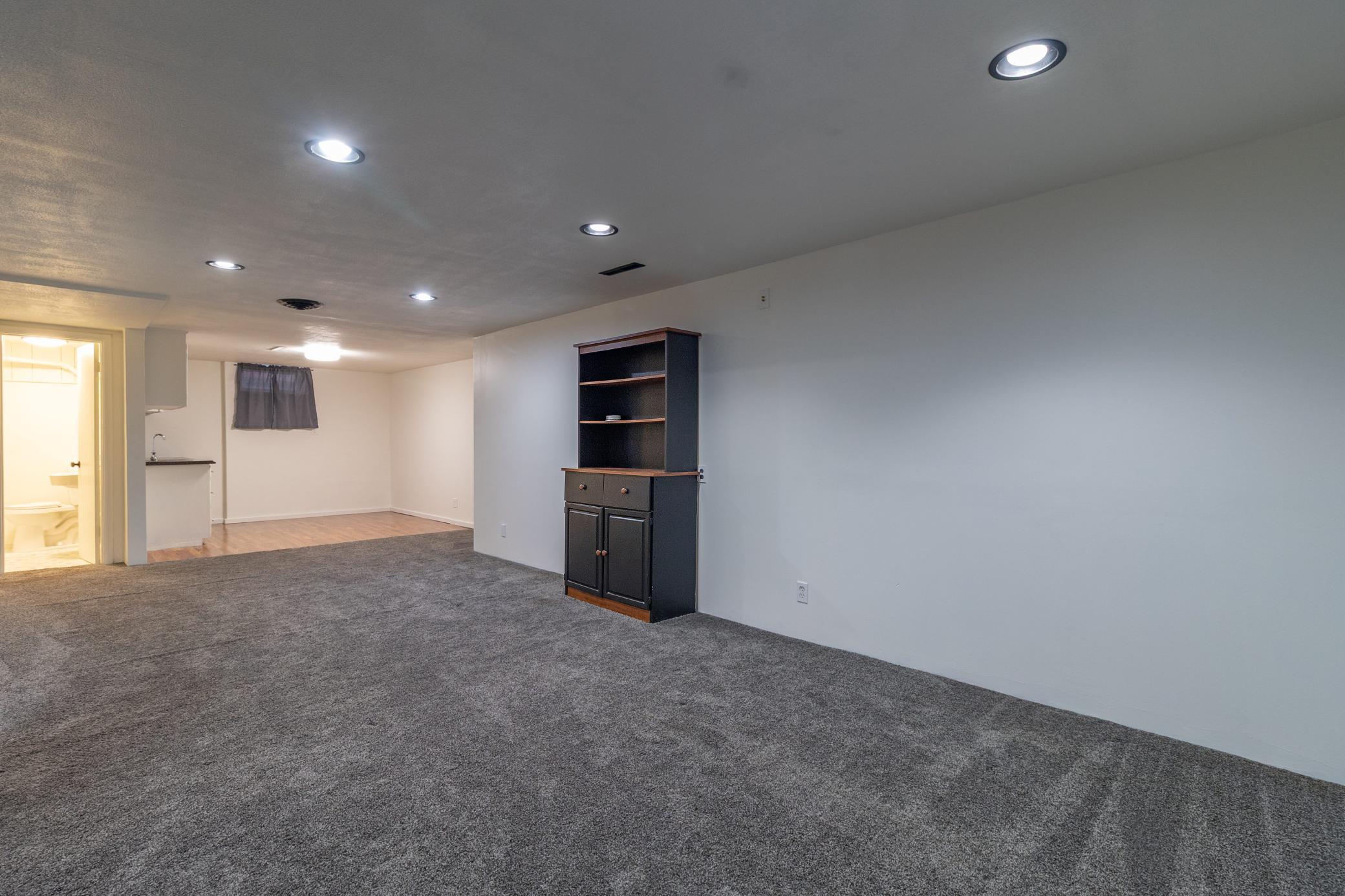 Basement Living Room