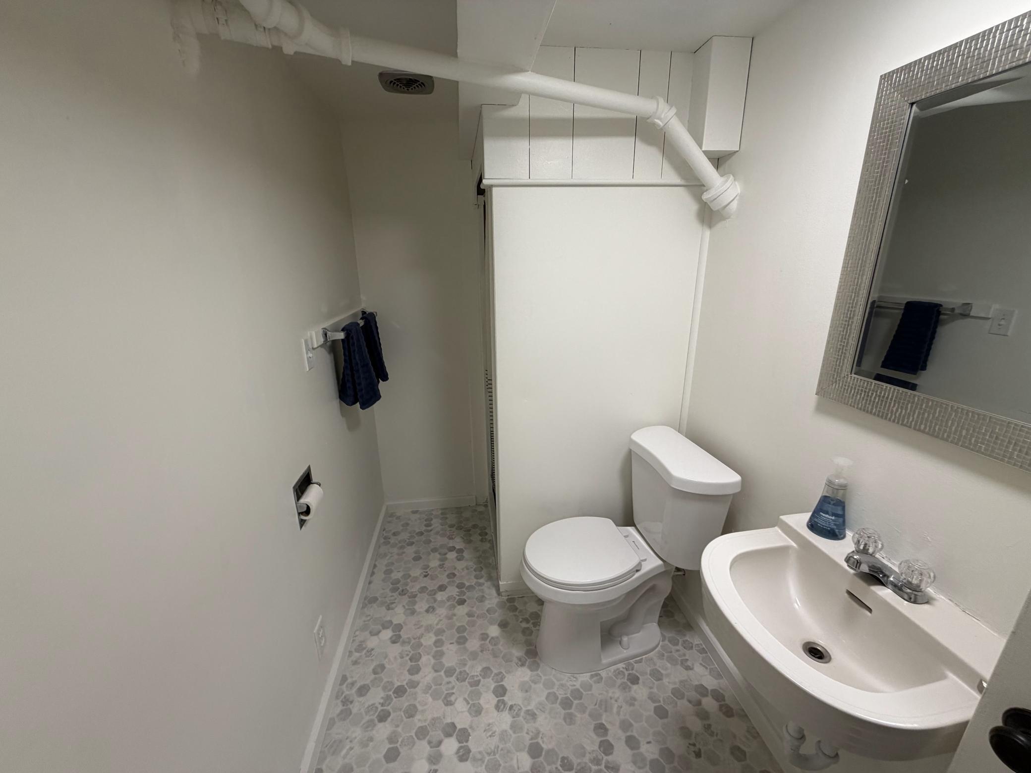 Basement Bathroom