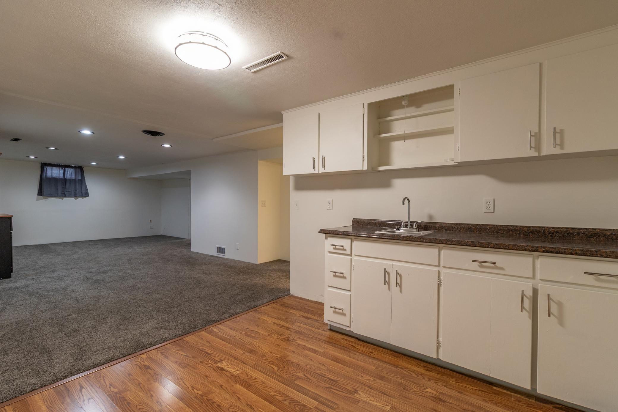 Basement Kitchen