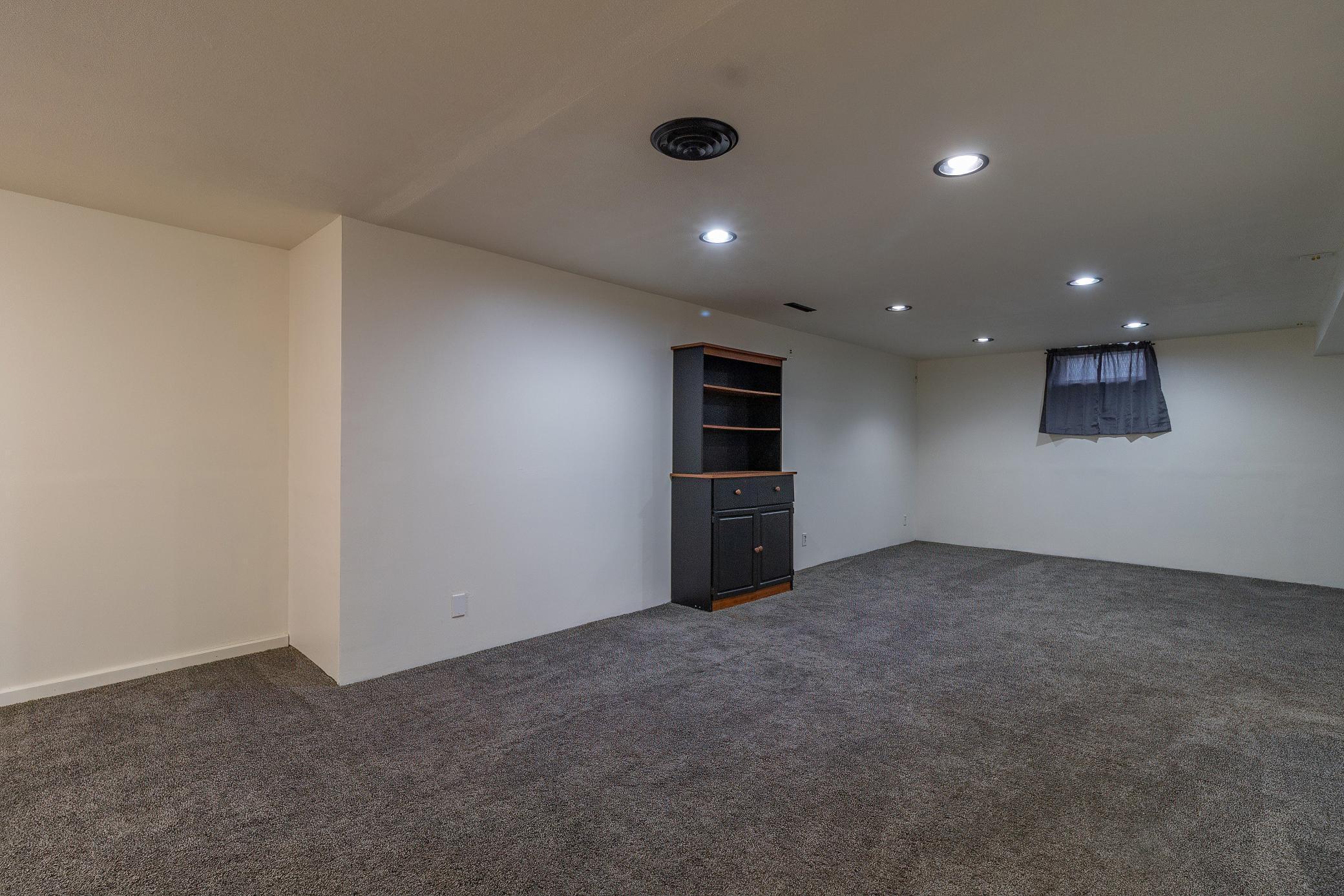 Basement Living Room