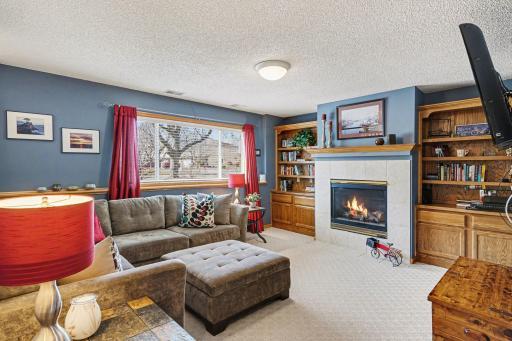 The lower level family room boasts a gas fireplace with built-in cabinets on each side.
