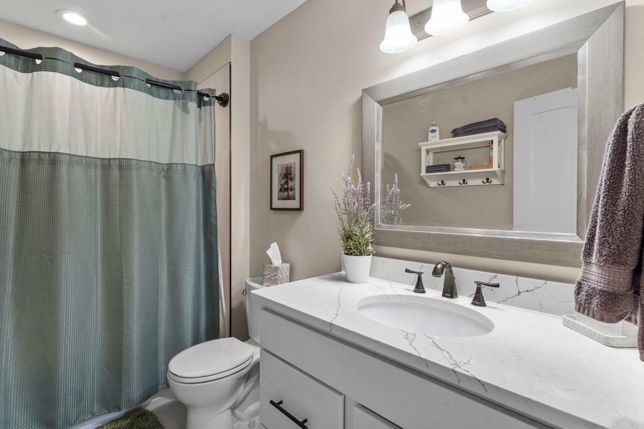 Lower level full bath