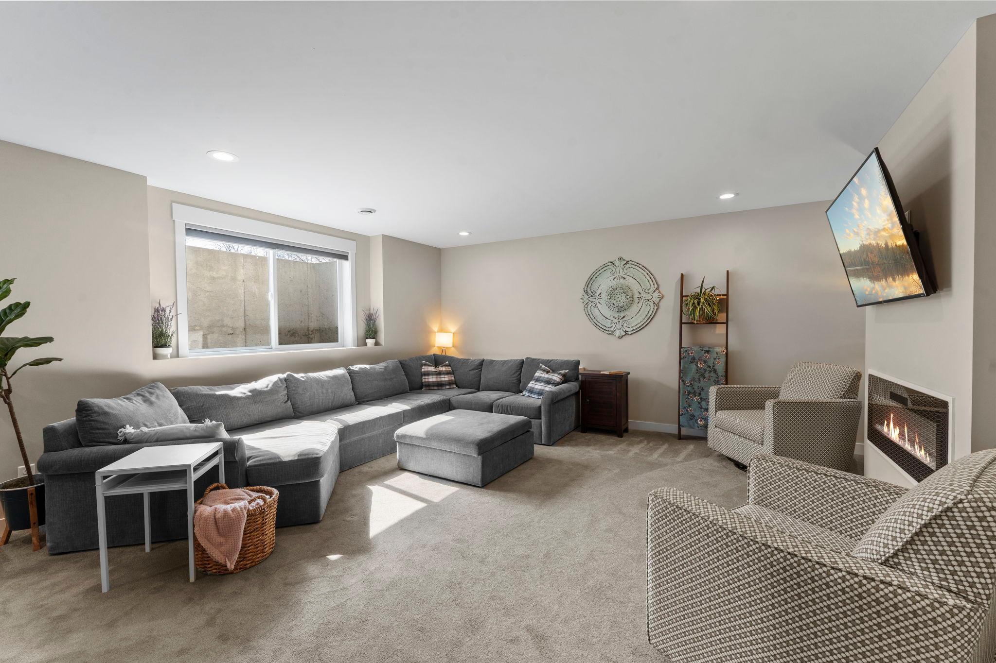 Lower level family room