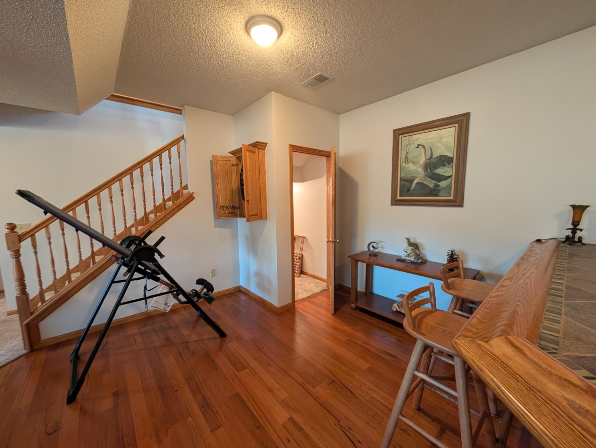Lower level - finished storage area with carpet under the stairs