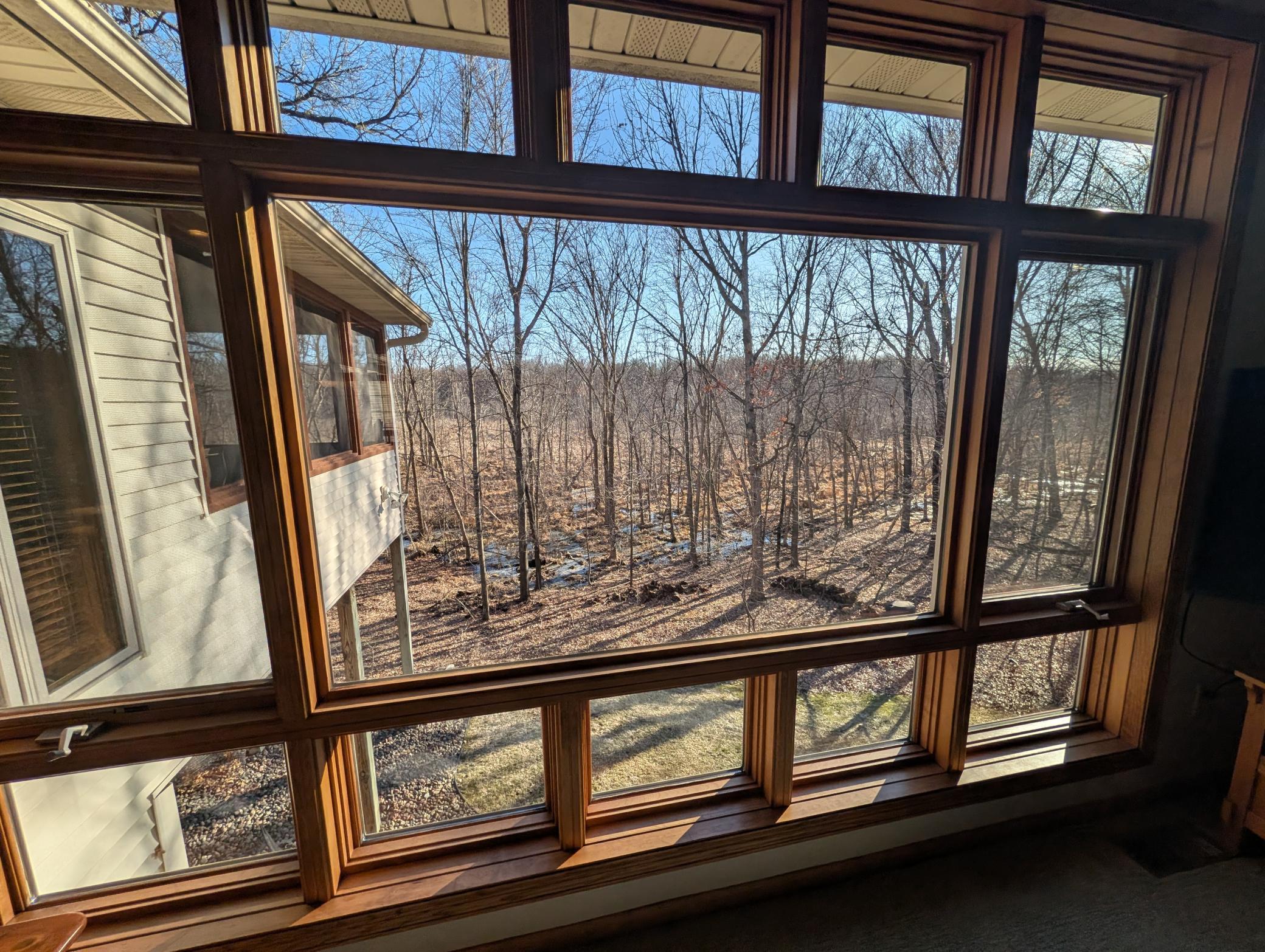 View of back yard from great room