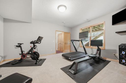 11503 Armstrong Court, Inver Grove Heights, MN 55077