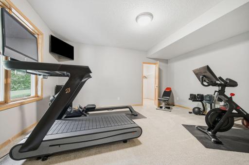 11503 Armstrong Court, Inver Grove Heights, MN 55077