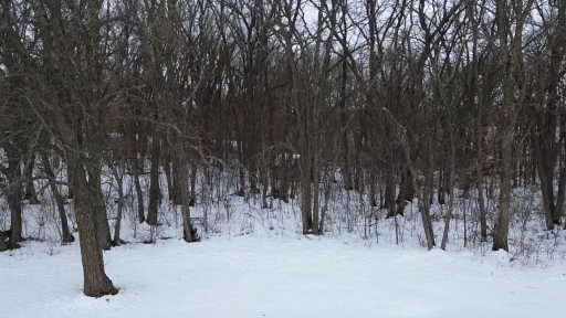 TBD W Lake Ida Lane, Pelican Rapids, MN 56572