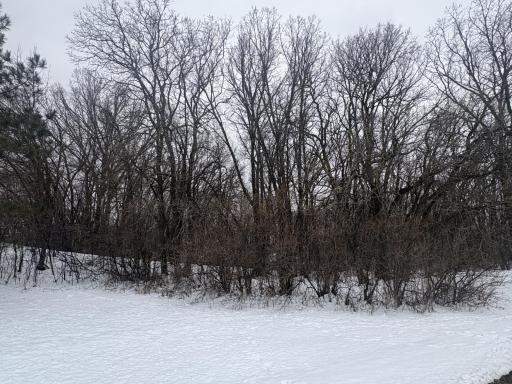 TBD W Lake Ida Lane, Pelican Rapids, MN 56572