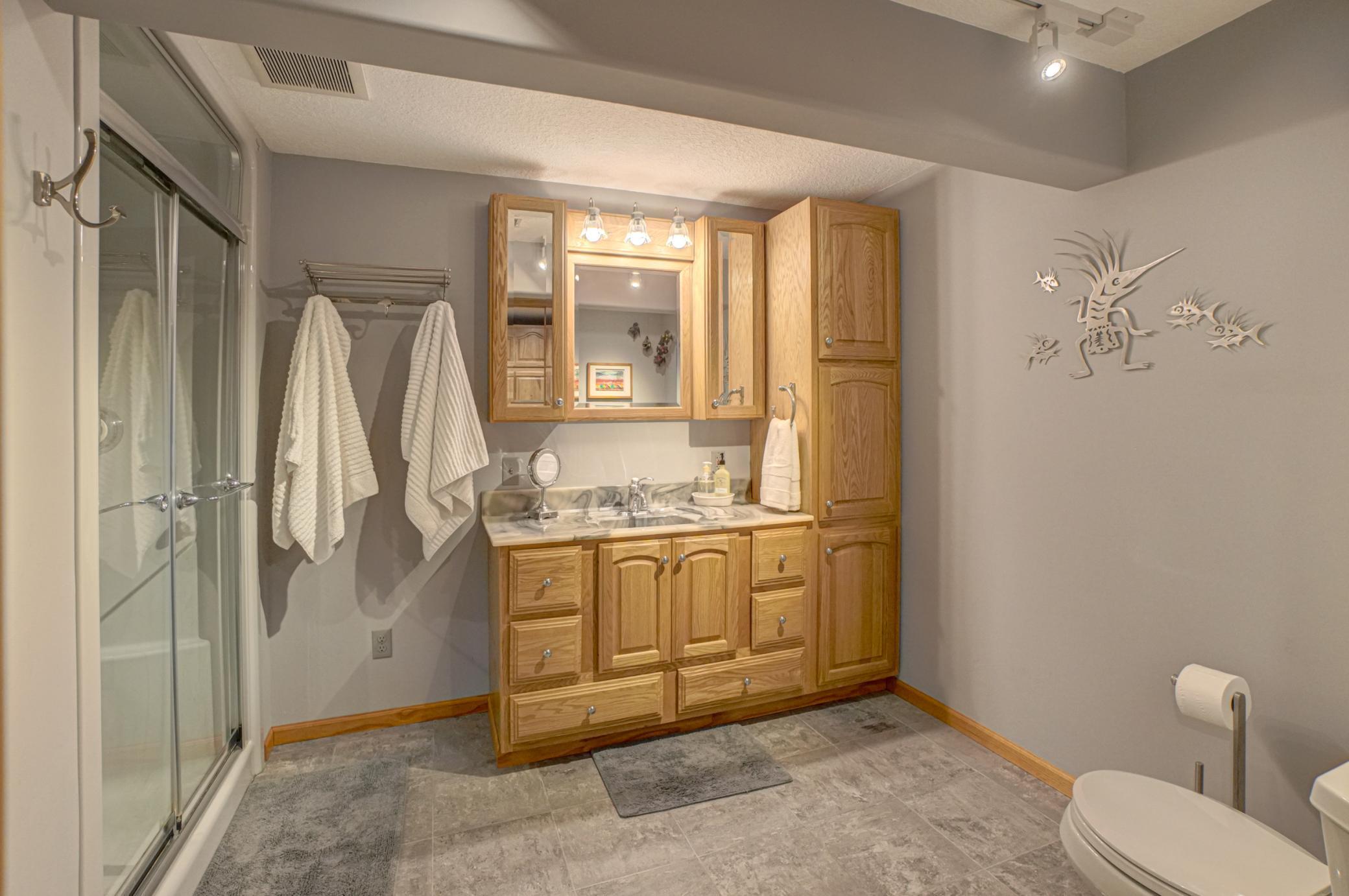 Lower level bathroom