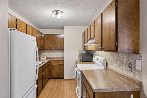 Generous amount of kitchen cabinets for food storage!