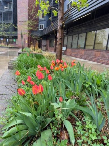 Raised garden beds add attractive greenspace along the building.