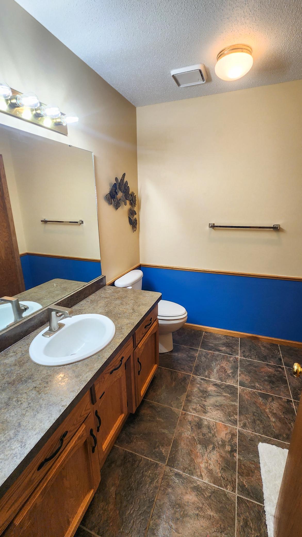 Lower Level Bathroom