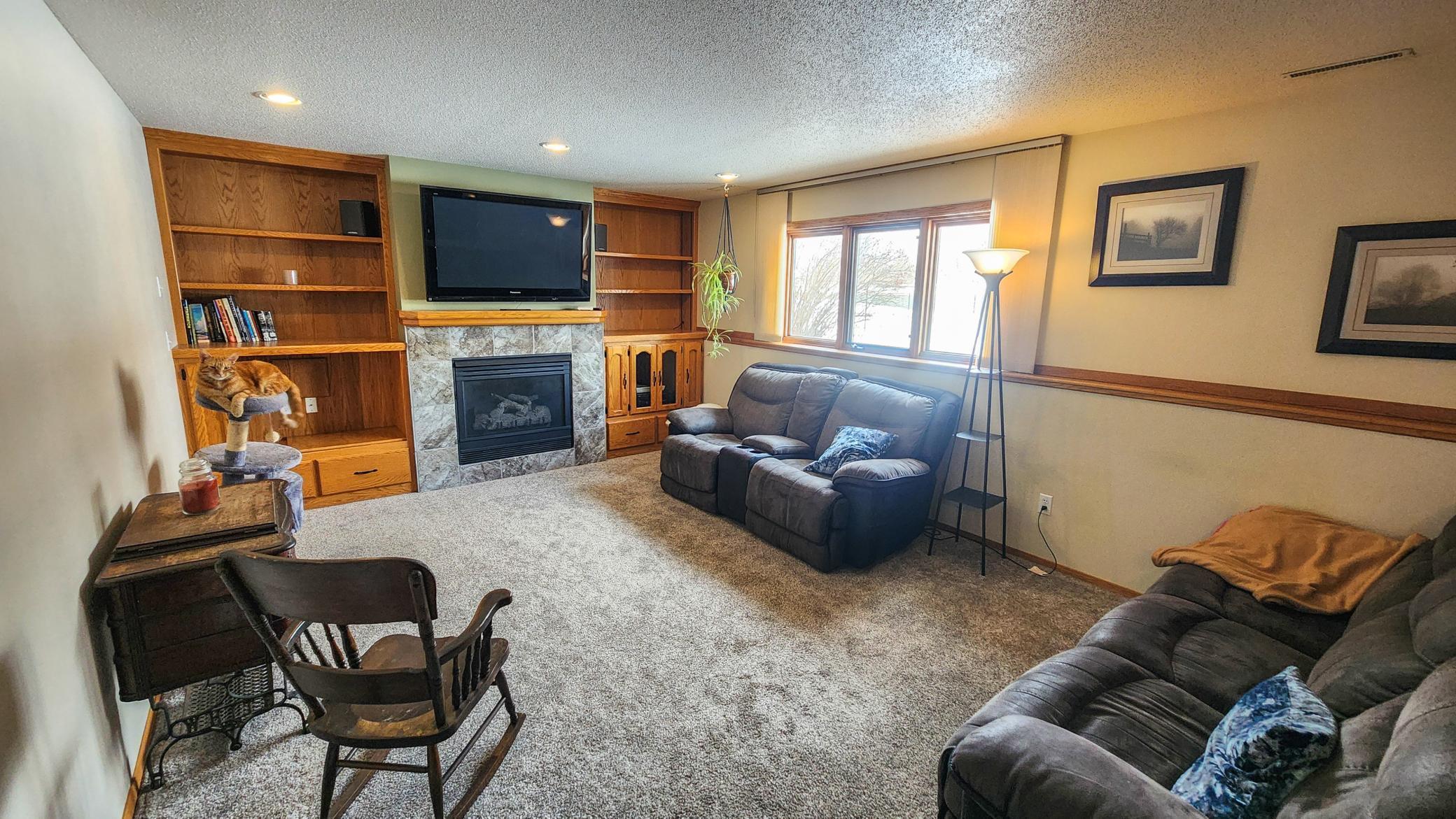 Lower Level Living Room