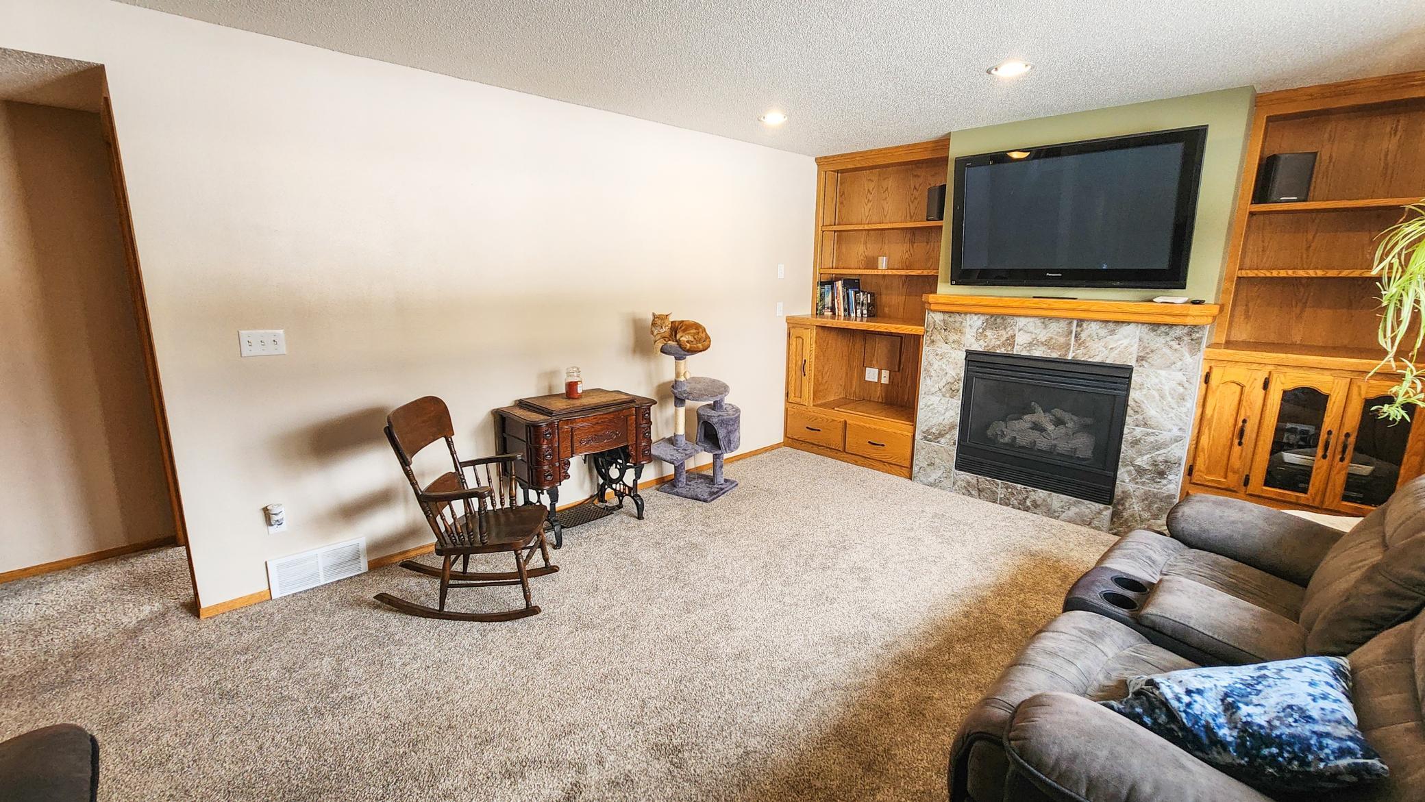 Lower Level Living Room