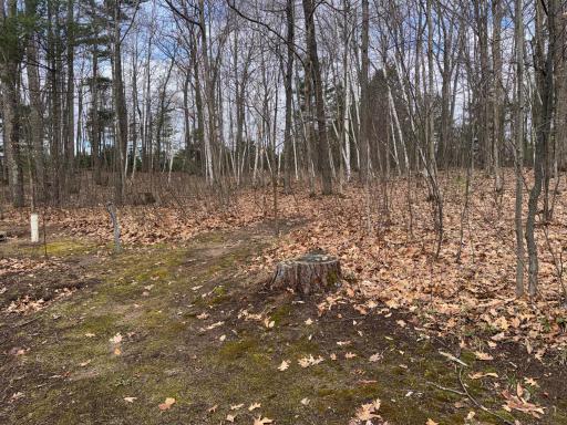 N5284 Golden Pond Lane, Stone Lake, WI 54876