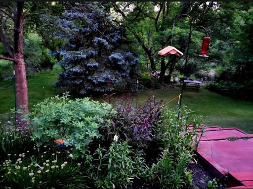 4269 Joppa Circle, Savage, MN 55378