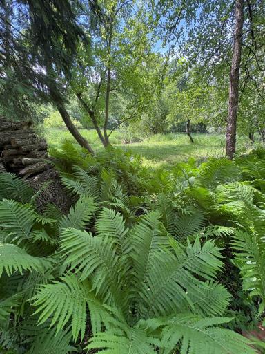 4269 Joppa Circle, Savage, MN 55378