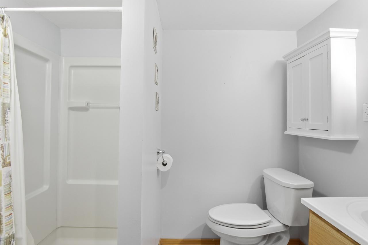 Lower Level 3/4 Bathroom