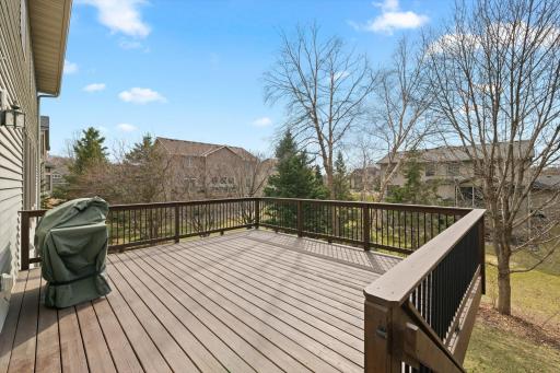 10803 Hawthorn Trail, Woodbury, MN 55129