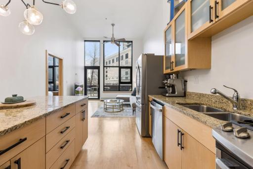 1120 S 2nd Street, 102, Minneapolis, MN 55415