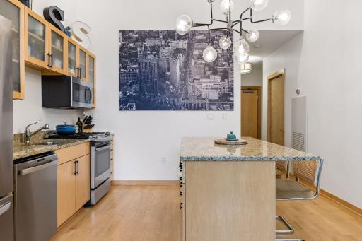 1120 S 2nd Street, 102, Minneapolis, MN 55415