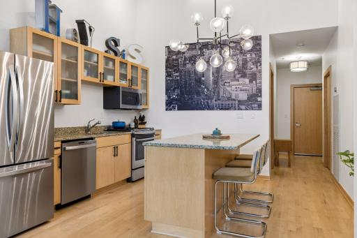 1120 S 2nd Street, 102, Minneapolis, MN 55415