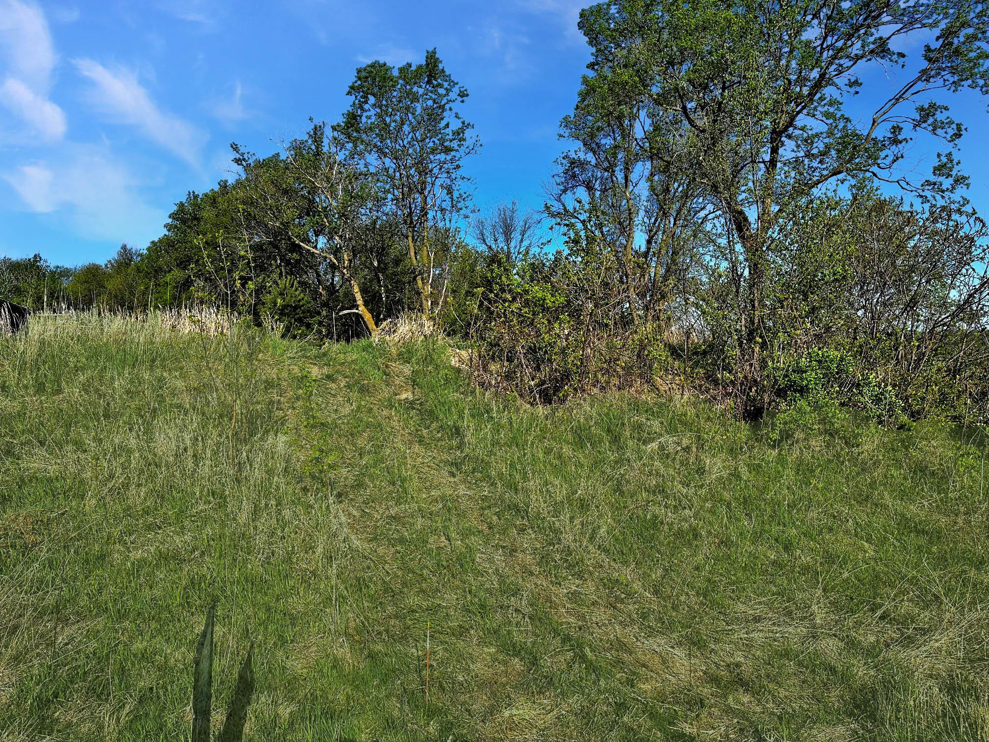 Driveway site