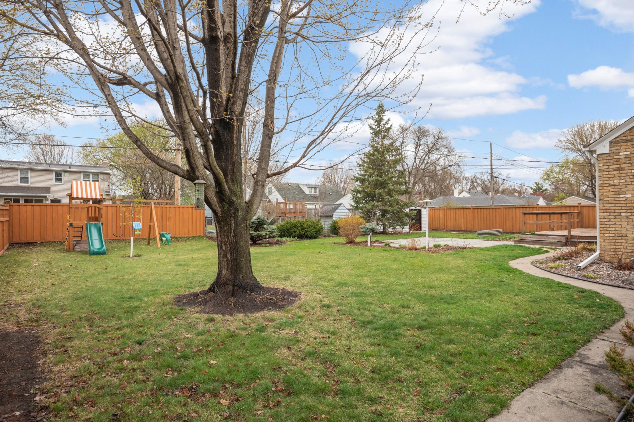 Another view of the huge yard