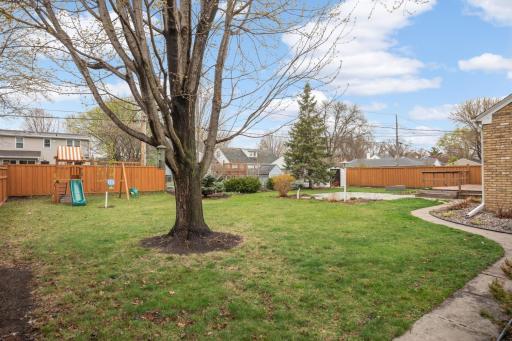 Another view of the huge yard