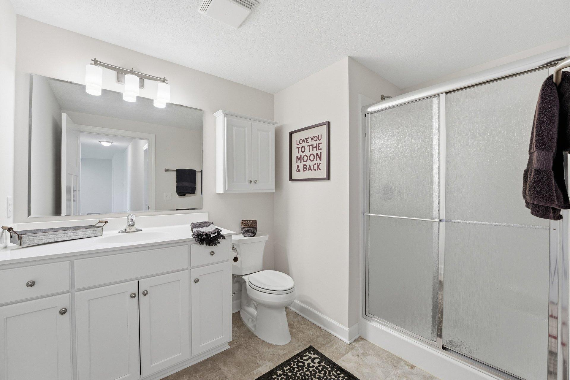 Lower level bathroom 4