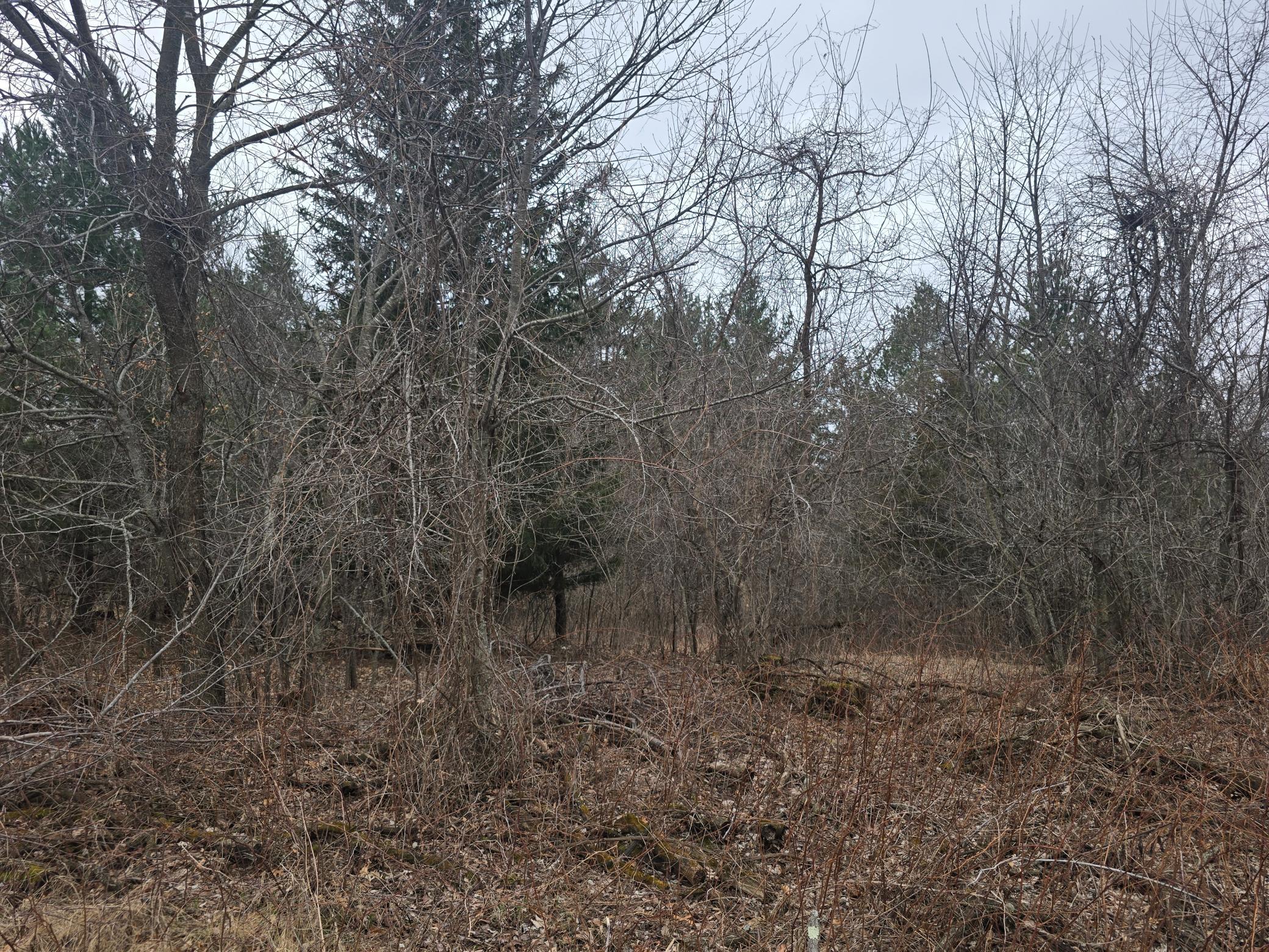 Lot 11 Block 1 2.jpg