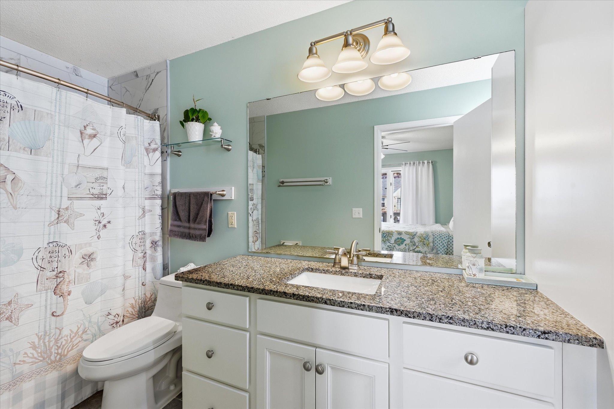 Newly updated primary bathroom