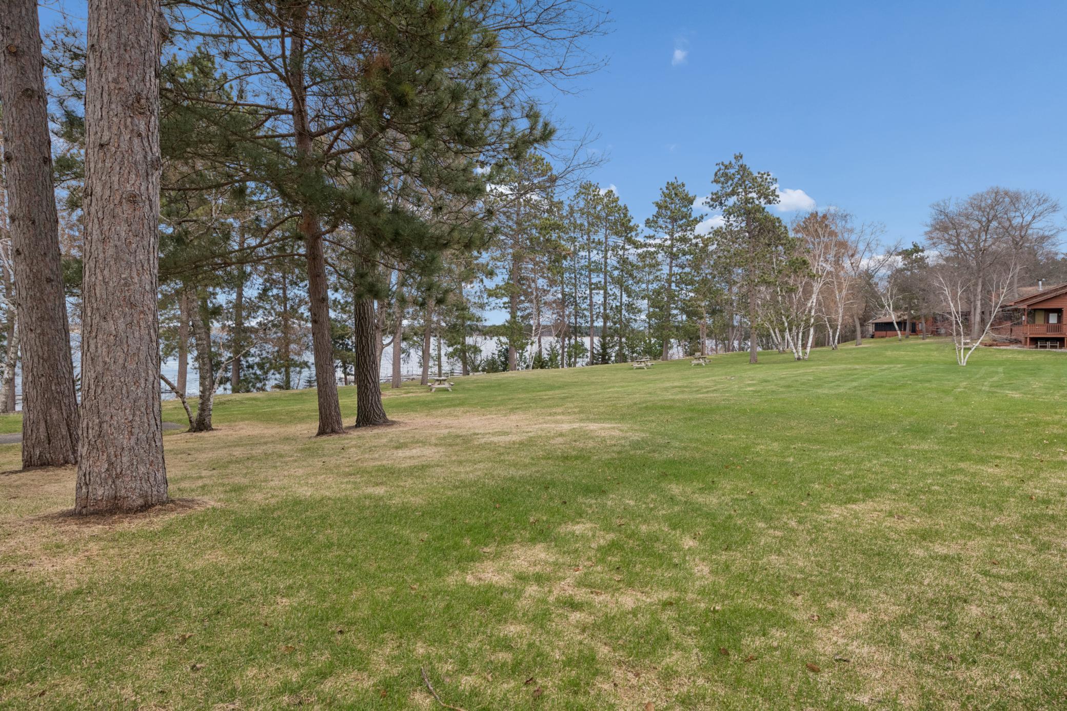 Huge shared yard area.