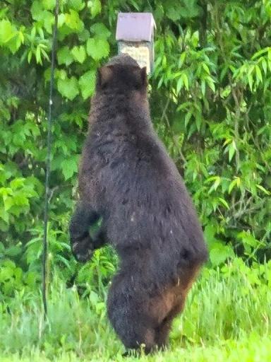 N10301 171st Street, Boyceville, WI 54725