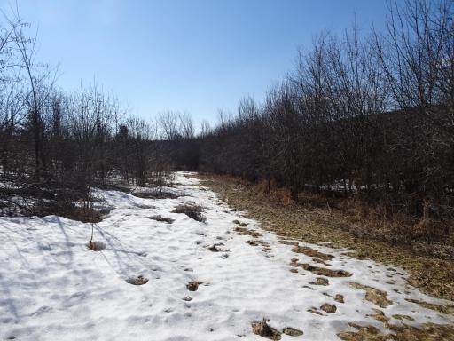 DSC05935.JPG