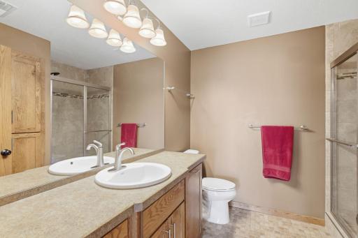 20760 Okinawa Street NE, Cedar, MN 55011