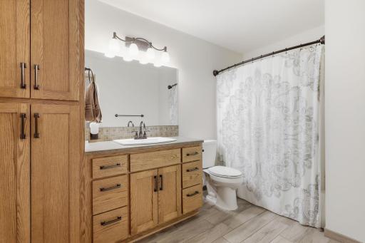 20760 Okinawa Street NE, Cedar, MN 55011