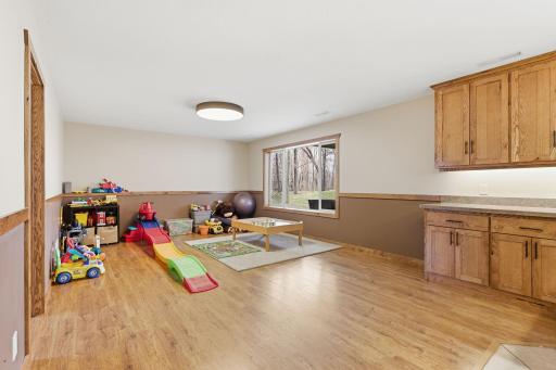 20760 Okinawa Street NE, Cedar, MN 55011