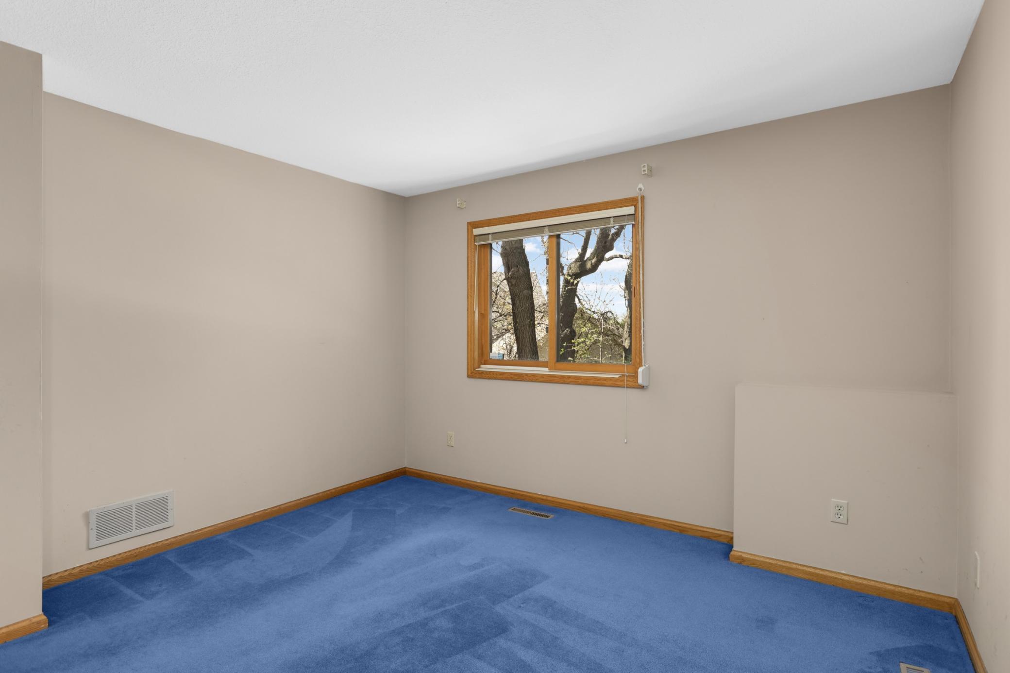 Lower level bedroom - home has 4 bedrooms total, all very generous in size.